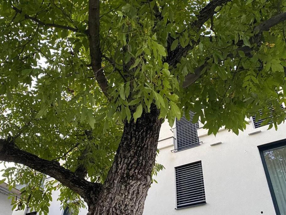 Wohnen Bahnstrasse 5 Apartment Klagenfurt am Woerthersee Ngoại thất bức ảnh
